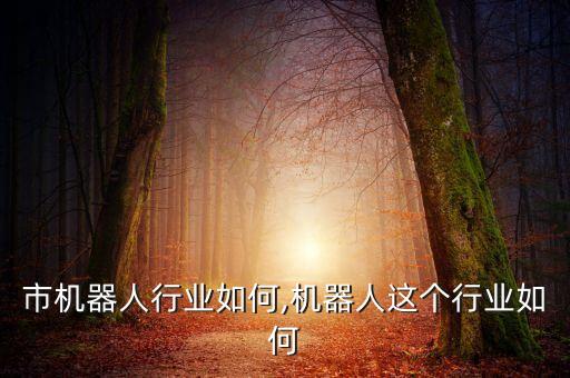 市机器人行业如何,机器人这个行业如何