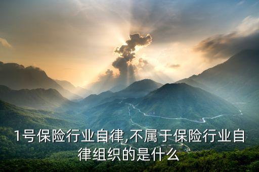 7月1号保险行业自律,不属于保险行业自律组织的是什么