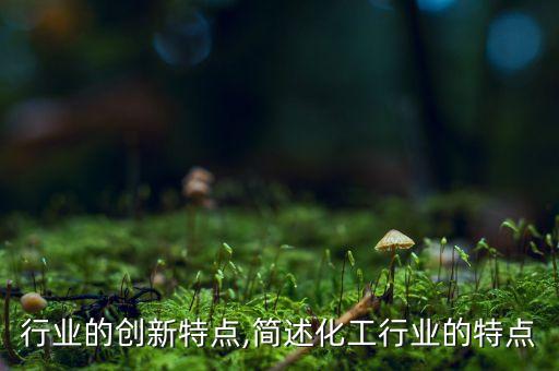 化工行业的创新特点,简述化工行业的特点