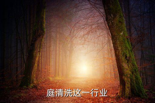庭清洗这一行业