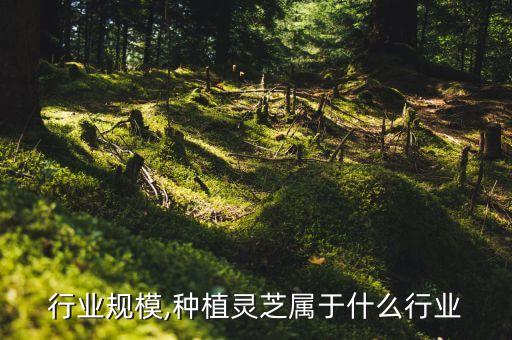 灵芝行业规模,种植灵芝属于什么行业