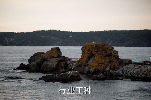 行业工种