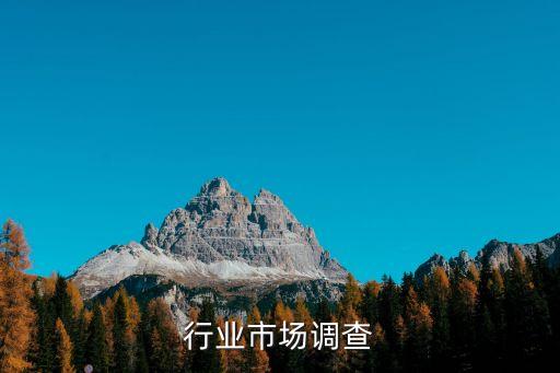 服装行业市场调查