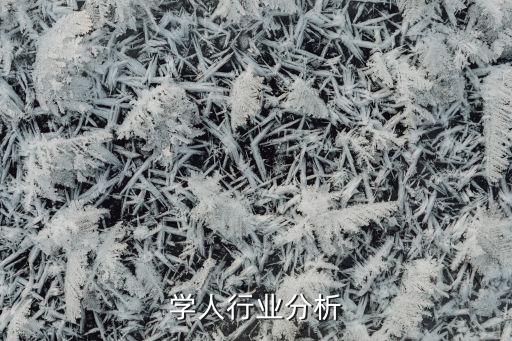 经济学人行业分析