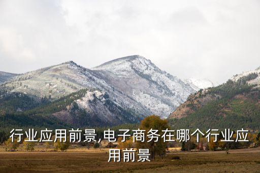 测绘行业应用前景,电子商务在哪个行业应用前景