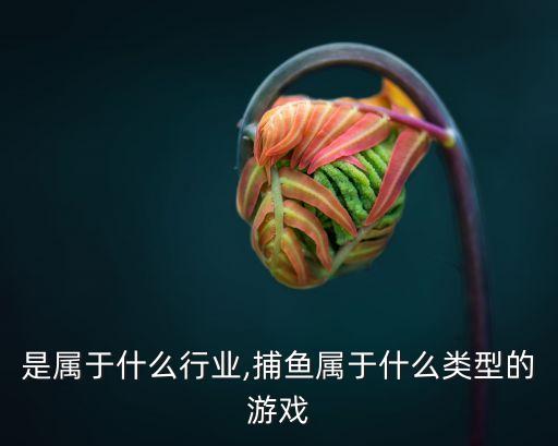 是属于什么行业,捕鱼属于什么类型的游戏
