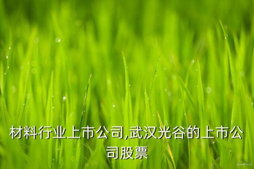 材料行业上市公司,武汉光谷的上市公司股票
