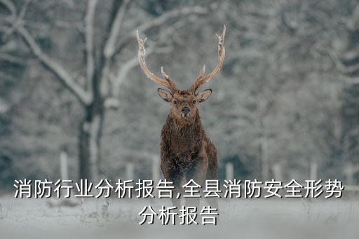 消防行业分析报告,全县消防安全形势分析报告