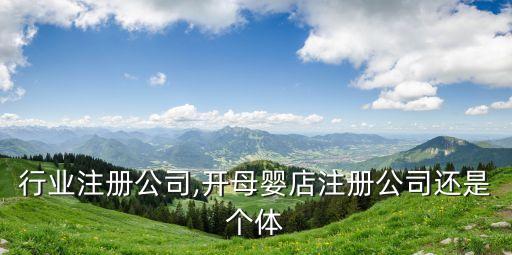 母婴行业注册公司,开母婴店注册公司还是个体