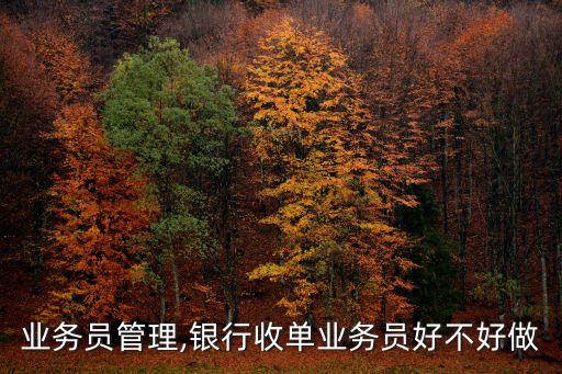 业务员管理,银行收单业务员好不好做