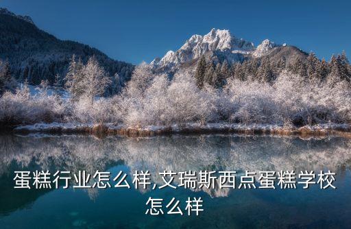 西点蛋糕行业怎么样,艾瑞斯西点蛋糕学校怎么样