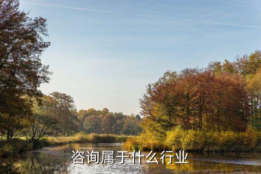 咨询属于什么行业