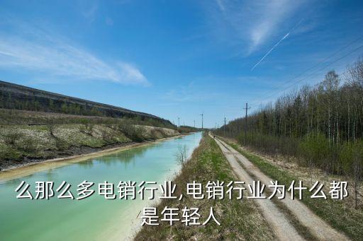 么那么多电销行业,电销行业为什么都是年轻人