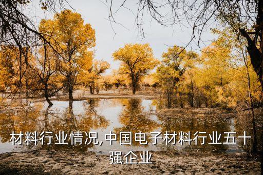 电子材料行业情况,中国电子材料行业五十强企业