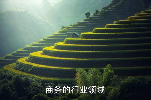 商务的行业领域