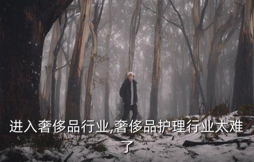 怎样进入奢侈品行业,奢侈品护理行业太难了