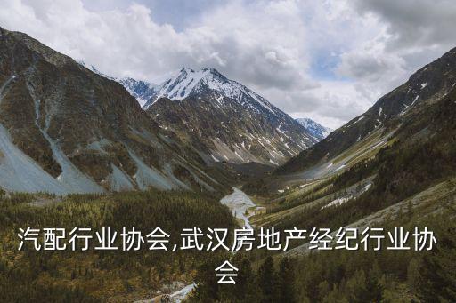 汽配行业协会,武汉房地产经纪行业协会