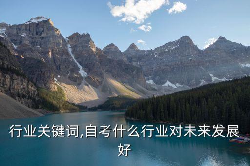 行业关键词,自考什么行业对未来发展好