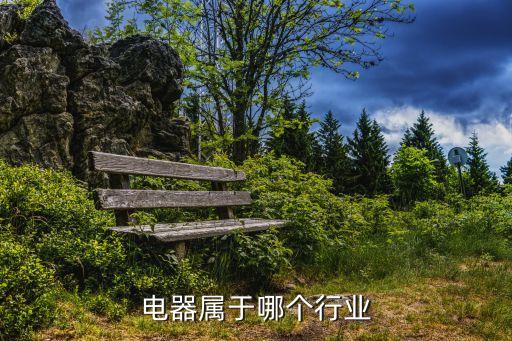 电器属于哪个行业