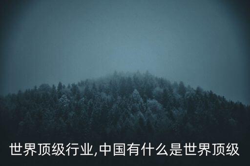 中国世界顶级行业,中国有什么是世界顶级