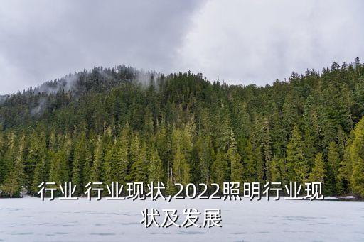 行业 行业现状,2022照明行业现状及发展