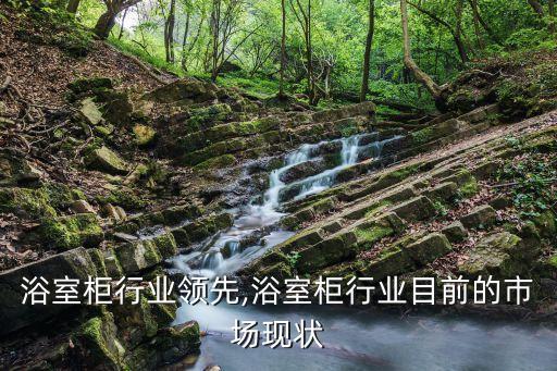 学校浴室柜行业领先,浴室柜行业目前的市场现状