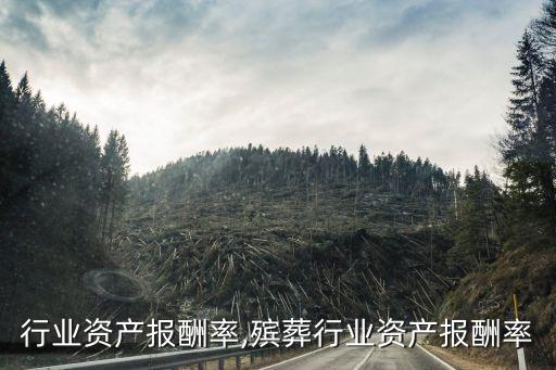 行业资产报酬率,殡葬行业资产报酬率