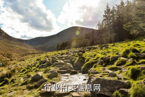 烟草行业拍卖信息网