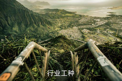 行业工种