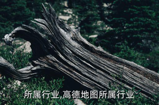 所属行业,高德地图所属行业