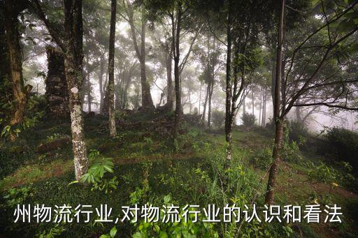 州物流行业,对物流行业的认识和看法