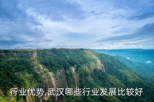 行业优势,武汉哪些行业发展比较好