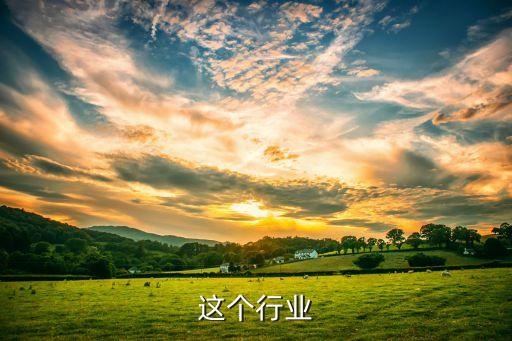 这个行业