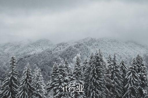 it行业
