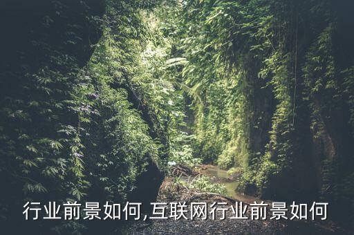 假山行业前景如何,互联网行业前景如何