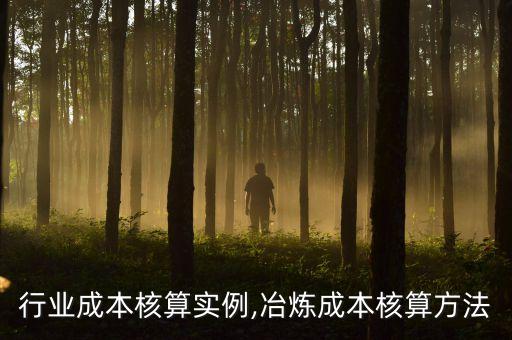 冶炼行业成本核算实例,冶炼成本核算方法