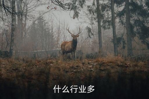 大连什么行业多