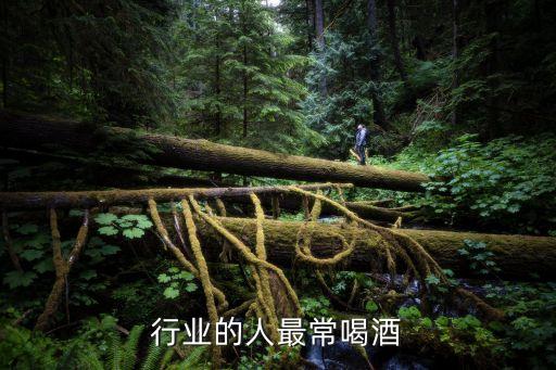 什么行业的人最常喝酒