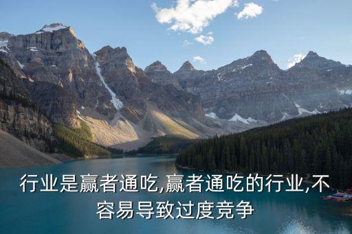 行业是赢者通吃,赢者通吃的行业,不容易导致过度竞争