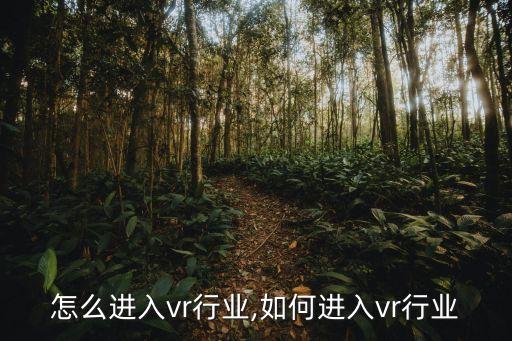 怎么进入vr行业,如何进入vr行业