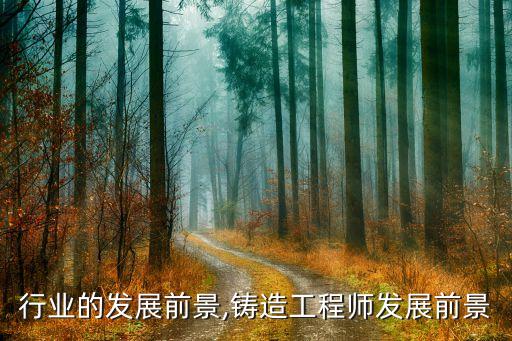 行业的发展前景,铸造工程师发展前景