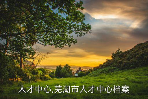人才中心,芜湖市人才中心档案