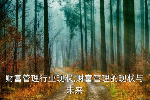 美国财富管理行业现状,财富管理的现状与未来