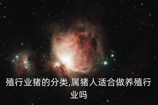 殖行业猪的分类,属猪人适合做养殖行业吗
