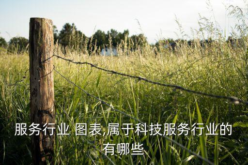 服务行业 图表,属于科技服务行业的有哪些