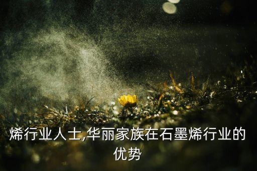 烯行业人士,华丽家族在石墨烯行业的优势
