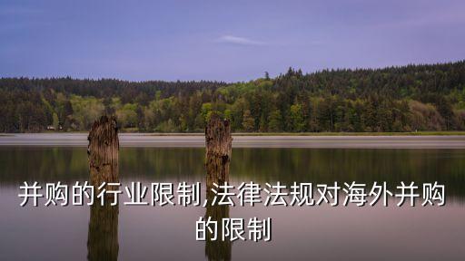 并购的行业限制,法律法规对海外并购的限制
