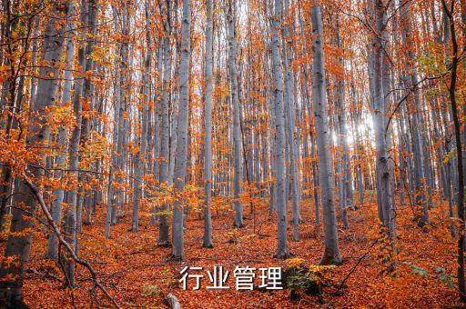 化工行业管理