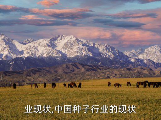 业现状,中国种子行业的现状