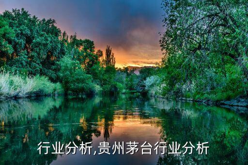 茅台行业分析,贵州茅台行业分析